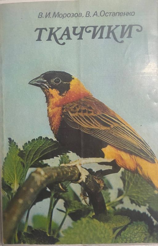 В.И. Морозов, В.А. Остапенко "Ткачики" (*)